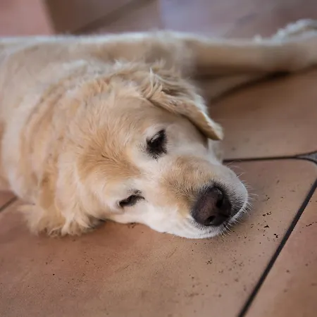Garni Muehlenhof Wusterhausen