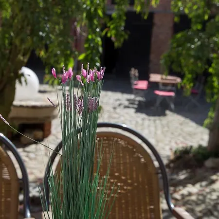 Hotel Garni Muehlenhof Wusterhausen