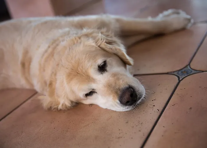 Garni Muehlenhof Wusterhausen