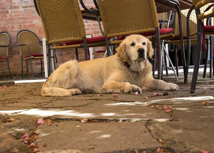 Hotel Garni Muehlenhof Wusterhausen